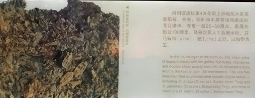 &#109;&#107;&#23448;&#32593;